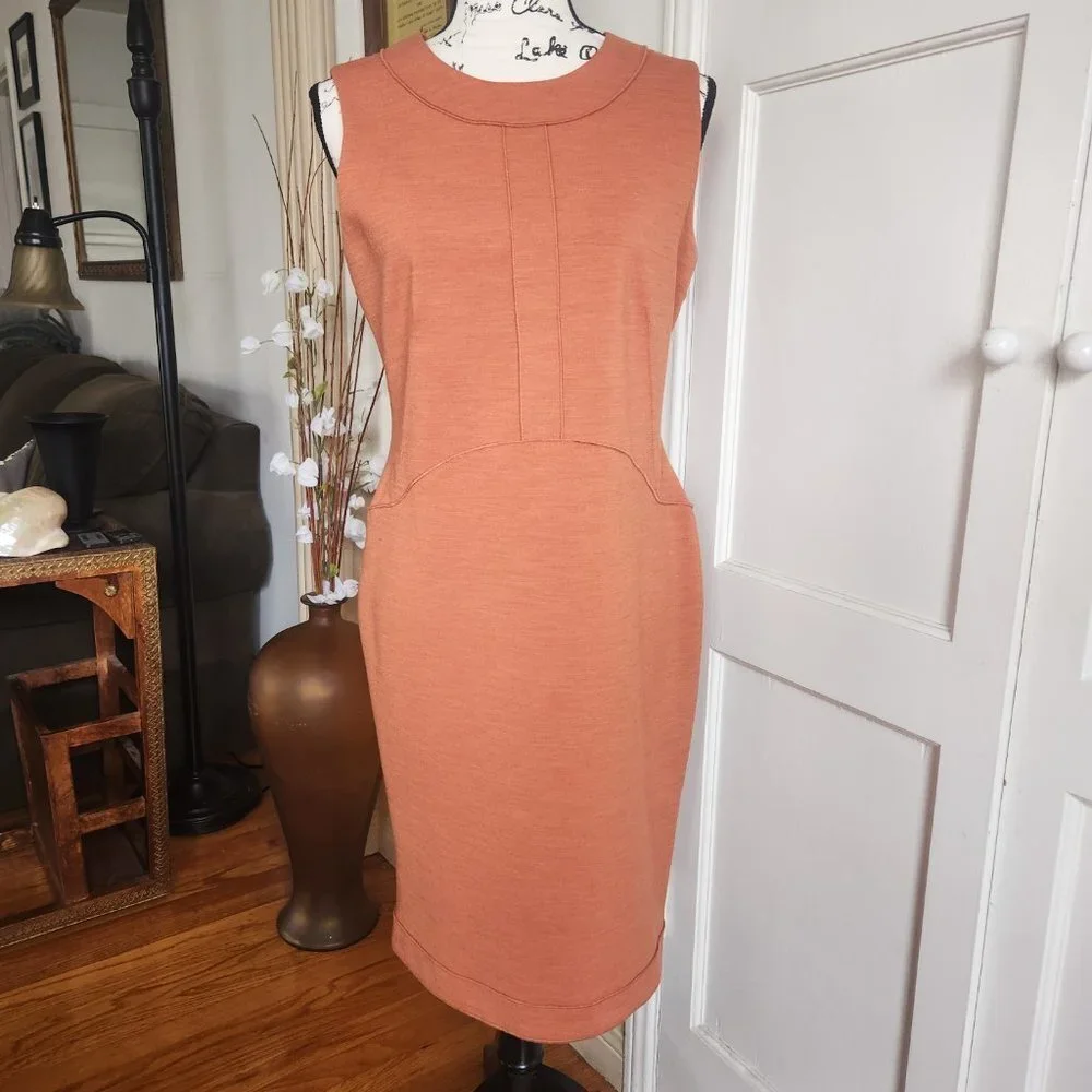 Buchanan and Kang Burnt Orange Sleeveless Sheath Dress Sz 6 NWOT - Picture 9 of 9